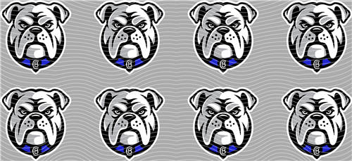 16oz Latest Bestseller-C 5618